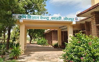 KVK Jodhpur Building